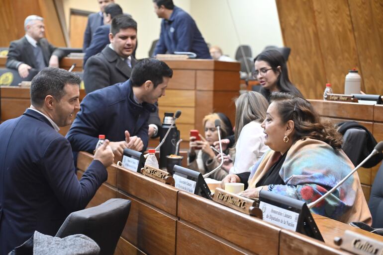 La Cámara de Diputados deberá definir mañana si respaldan realizar depuración de padrón solo en San Alfredo o también en otros 12 municipios.