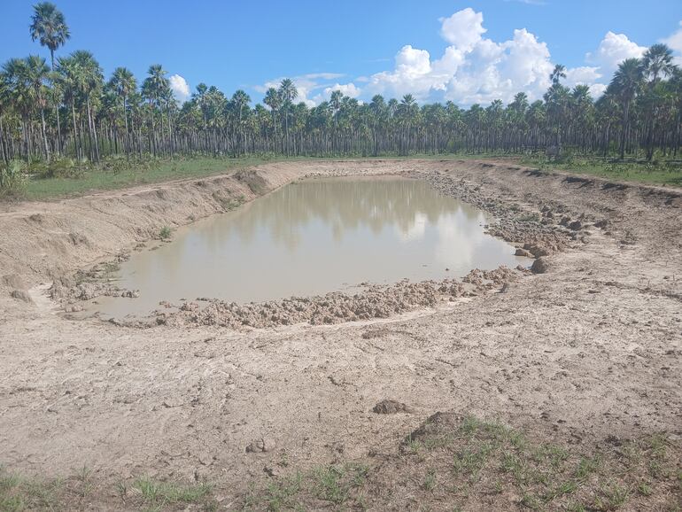 La escasez de agua en los tajamares se puede notar en varias estancias de la zona.