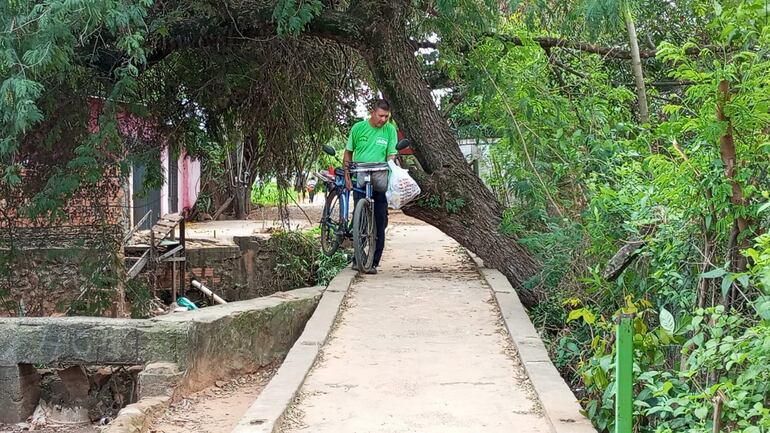 Sin valla de protección, con un árbol que obstruye el camino, se encuentra el puente peatonal que uno dos barrios de San Lorenzo.