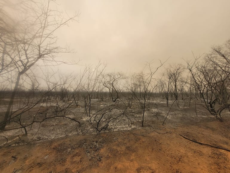 Incendio forestal en el Chaco.