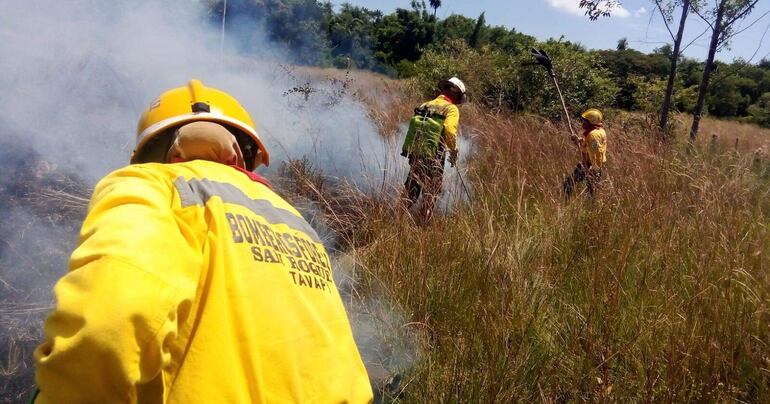 Los bomberos como pueden tratan de controlar el incendio en sus respectivas zonas.