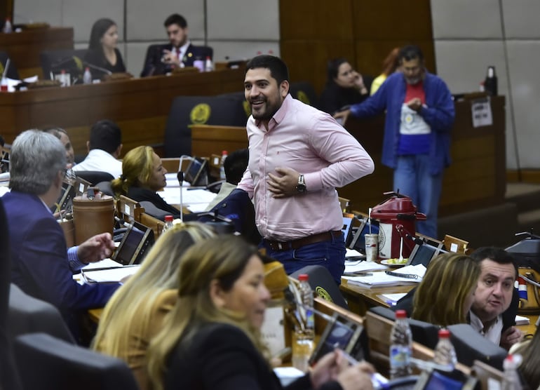 Sesión de la Cámara de Diputados.