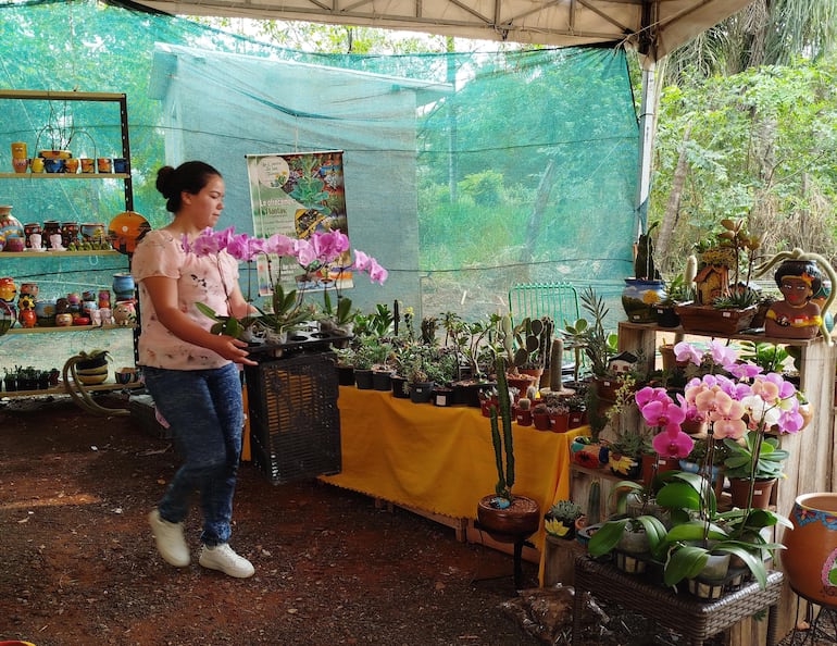 En los stands se puede encontrar todo tipo de plantas que son ideales para darle frescura al hogar.