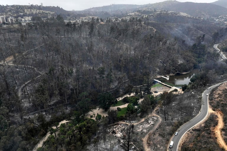 Lo que dejó el incendio en uno de los bosques de Viña del Mar.