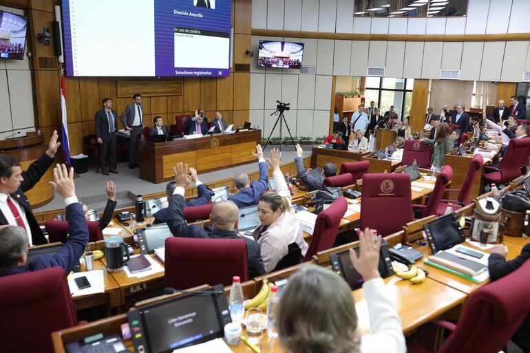 Sesión del Senado. (Foto gentiliza del Senado)