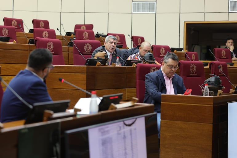 Reunión de la comisión "garrote" en la Cámara de Senadores.