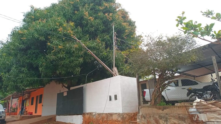 Con la caída de las columnas algunas extensiones de tendidos eléctricos se vieron también afectados por el temporal de fuertes ráfagas de viento.