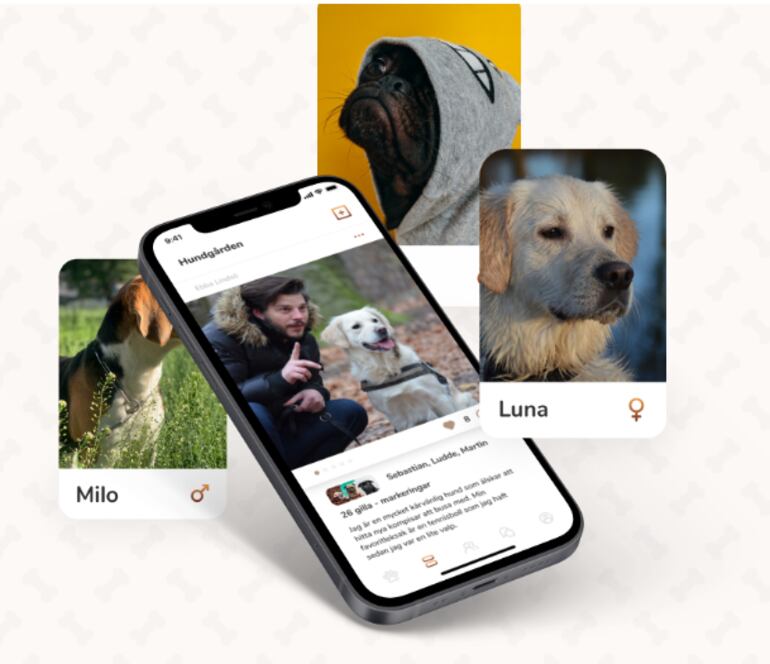 DogDater: perfiles de perros.