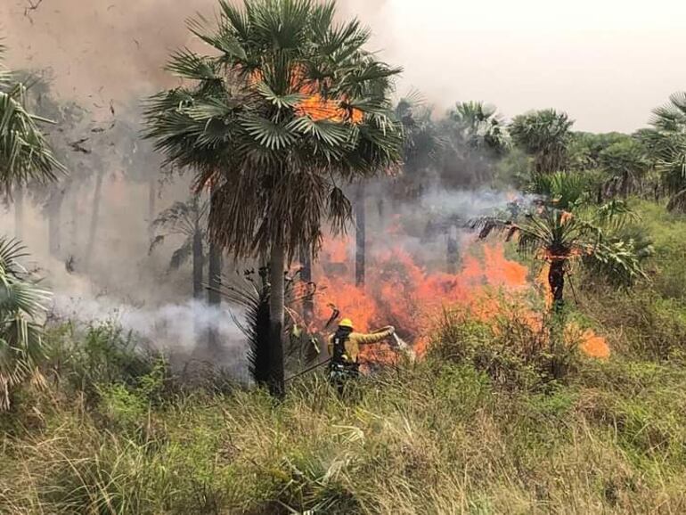 Incendio en cercanía de la ruta Luque-Sanber fue en varias hectáreas. (gentileza).