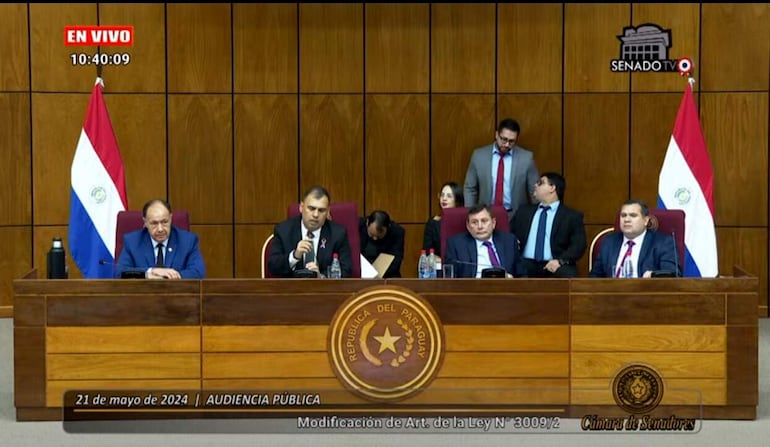 Audiencia pública sobre proyecto de ley para pequeñas centrales hidroeléctricas en el Senado.