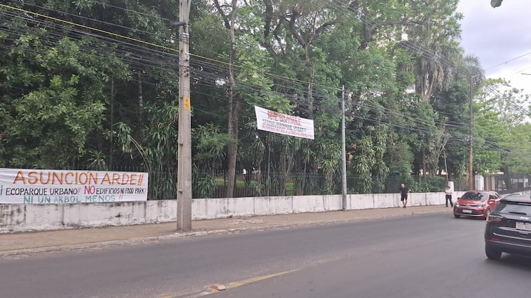 Predio de la avenida España casi General Santos que ciudadanos piden que no se tale.