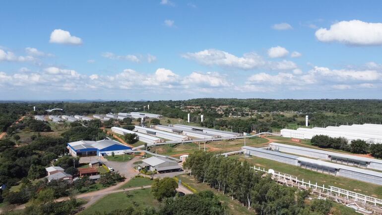 La bioseguridad dentro de las granjas y el cuidado del medio ambiente son una obligación desde siempre en la firma Las Tacuaras S.A.