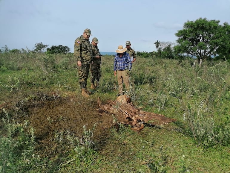 Pequeños y grandes ganaderos afectados por hechos de abigeato en el departamento de Paraguarí.