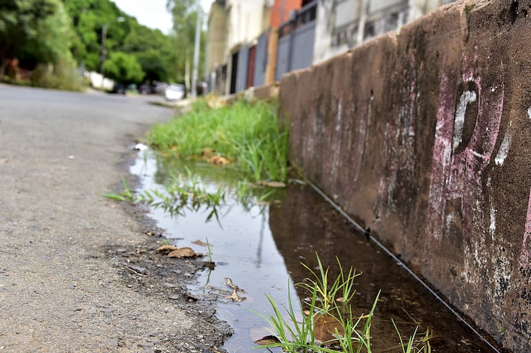 Caño roto,vereda en mal estado y Basural en Roque Gonzalez esquena India Juliana
Hoy 26 de Noviembre de 2024
Gustavo Macahdo