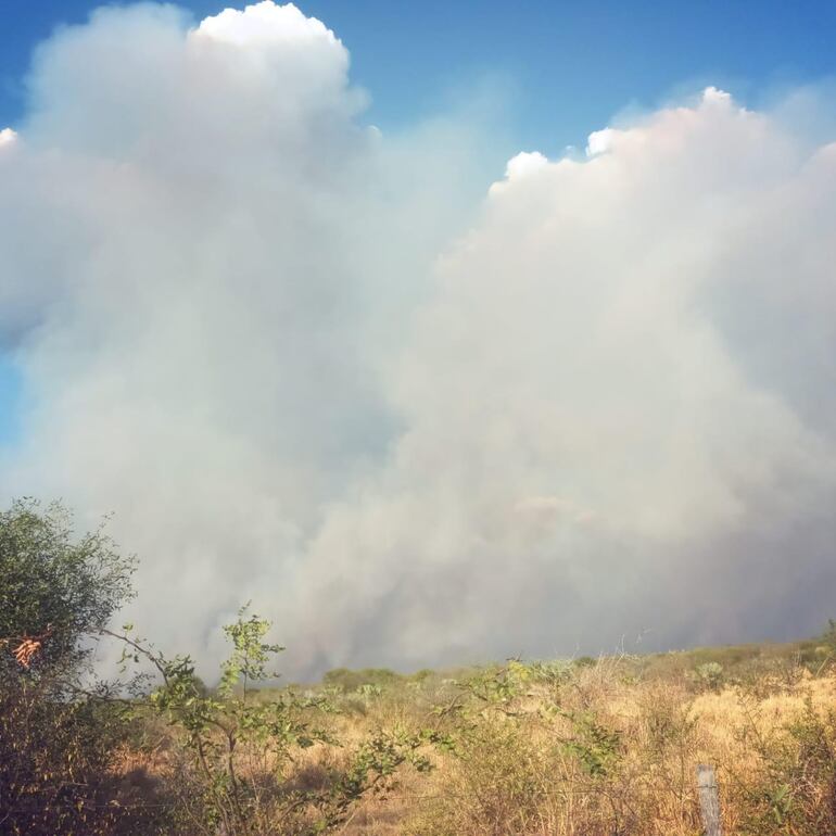 Intensa humareda tras el paso del fuego por cientos de hectáreas de campos ganaderos.