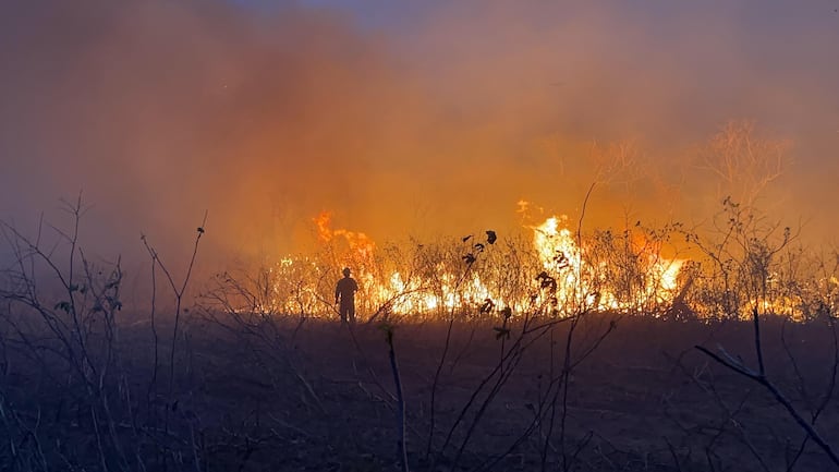 Por momentos el fuego se expandía con rapidez, ayudado por la fuerza del viento.