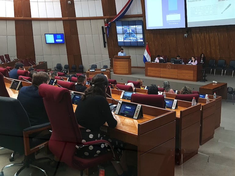 Varias organizaciones sociales alzaron su voz de protesta contra la comisión “garrote”, en una reunión en Diputados.