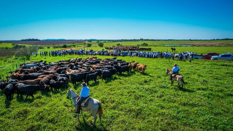 En la zona de Misiones se realizó ayer la primera salida de campo de la ACBP.