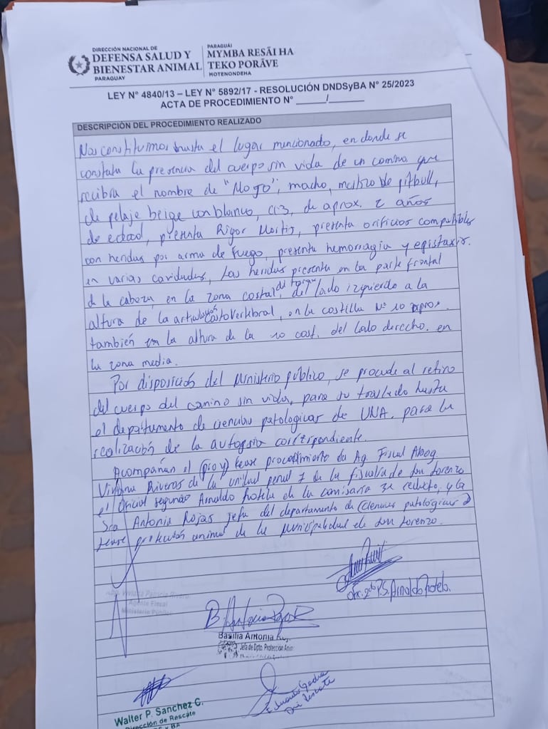 Intervención de Defensa Animal.