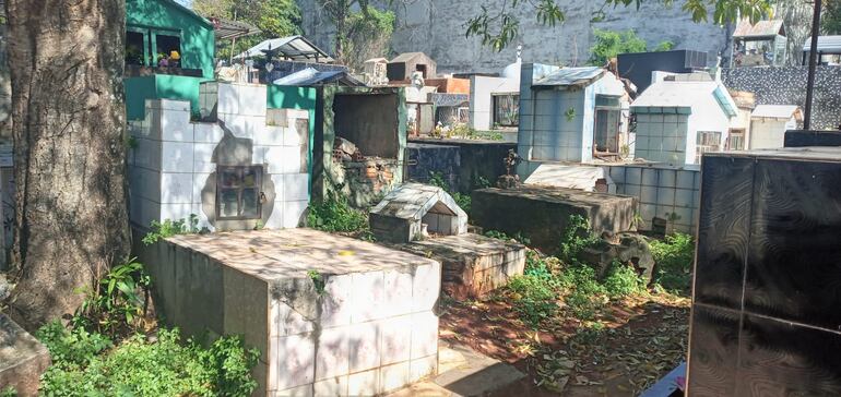 Urgen mantenimiento en cementerio de Presidente Franco