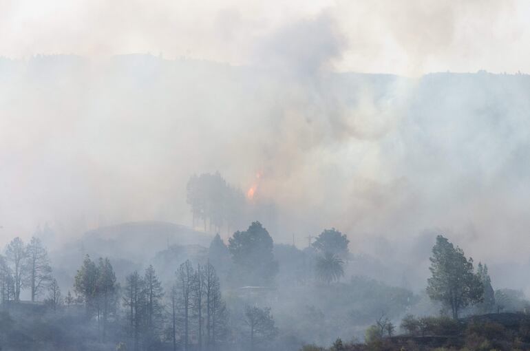 Un incendio forestal se ha declarado esta madrugada en el municipio de Puntagorda, en la isla de La Palma, ha afectado a varias viviendas y ha llevado a la evacuación de 32 vecinos de las proximidades.