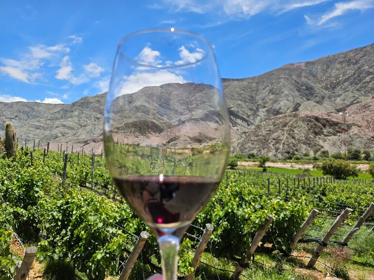 En Jujuy se producen vinos de extrema altura, a los que la amplitud térmica brinda complejidad. La foto es frente a los viñedos de la bodega Amanecer Andino.