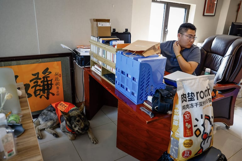 El detective de mascotas Liu Yin Tong se sienta junto al perro de rescate Luo Luo en la oficina de su equipo en Beijing, China.