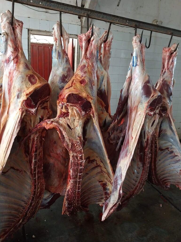 Carne vacuna de siete reces fue incautada durante el procedimiento en el matadero municipal de Paraguarí.