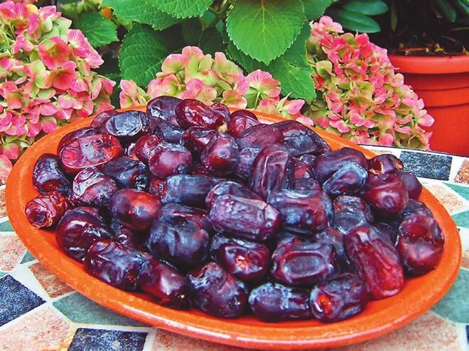 Los frutos rojos - Gastronomia - ABC Color